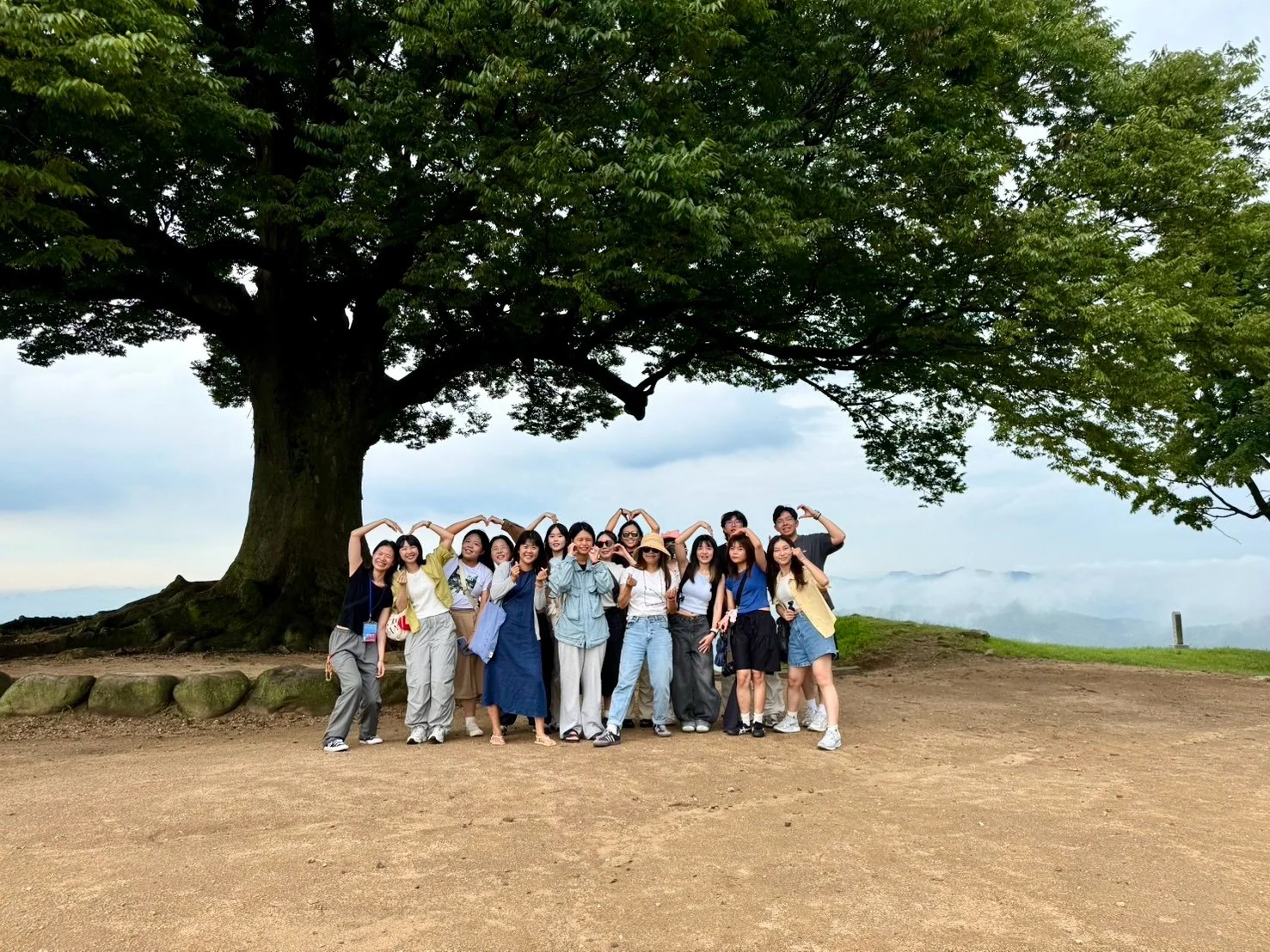 성흥산성의 큰 나무 아래에서